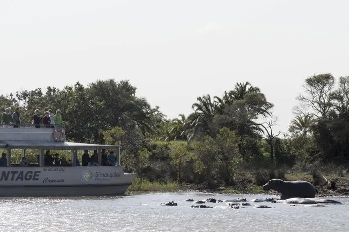 3. Santa Lucia. Das kleine St. Lucia, umgeben vom Meer, Flussmündungen und dem Isimangaliso-Park, ist der perfekte Ausgangspunkt für Entdeckungen. Besonders zu empfehlen ist eine Bootsfahrt, die nahe an die hier lebenden Flusspferde heranführt. Auch Krokodile und Bullenhaie lassen sich blicken. Weiter geht es nach Cape Vidal, wo man Antilopen, Elefanten und Nashörner erspähen kann.
