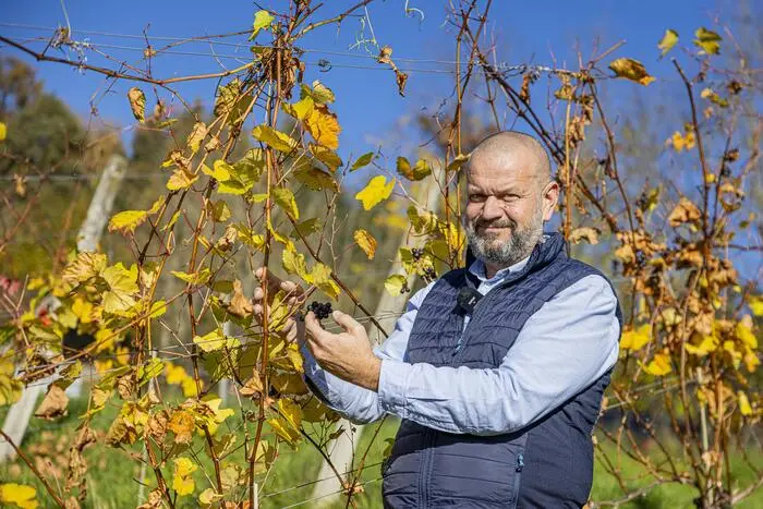 Siegfried Quendler vom Obst- und Weinbauzentrum in St. Andrä rechnet wegen des Spätfrosts mit Einbußen