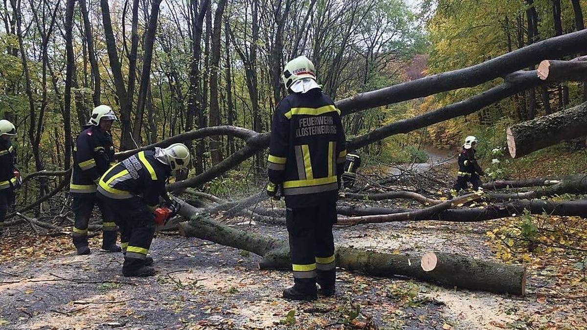 Aufräumen war am Montag nach dem schweren Sturm in weiten Teilen des Landes angesagt