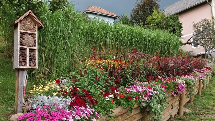 Die Gemeinde Pöllauberg erhielt fünf Floras