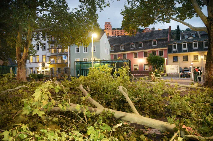 Baden-Württemberg, Eppelheim: Abgebrochene Äste liegen nach dem Durchzug von Sturmtief Fabienne auf einer Straße. Im Hintergrund das Heidelberger Schloss.