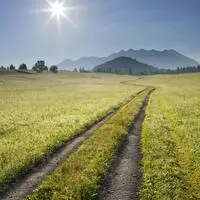 Auf einem Feldweg fand die Frau das Diebesgut (Symbolfoto)