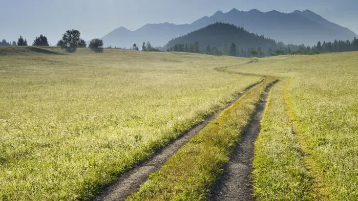 Auf einem Feldweg fand die Frau das Diebesgut (Symbolfoto)