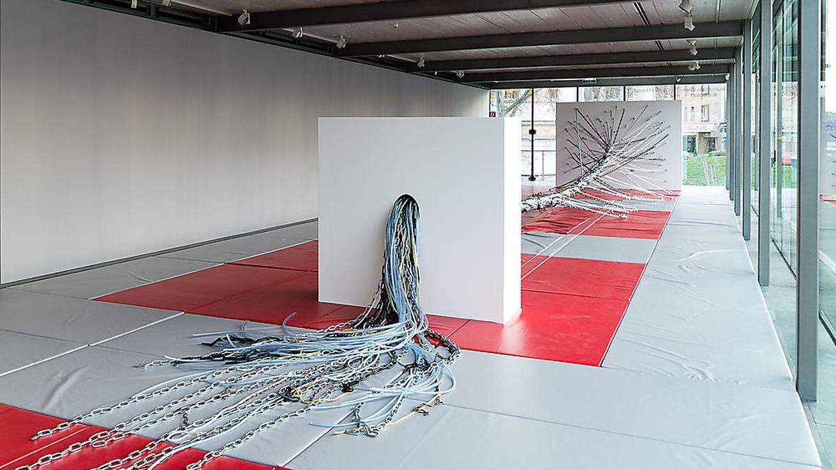 Installationsansicht: Camille Henrot