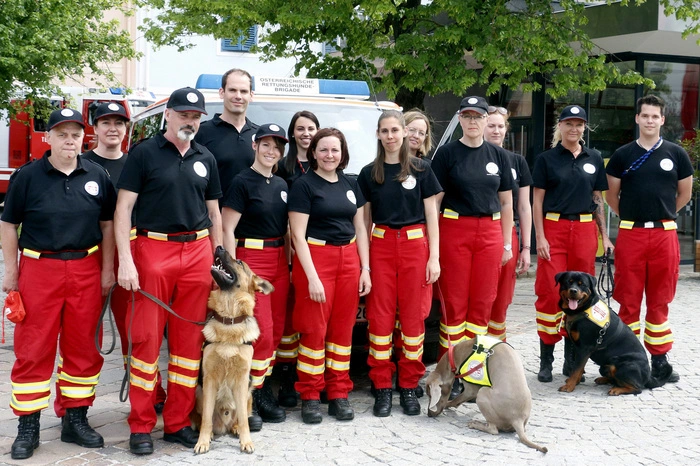 des Roten Kreuzes, der Polizei, Rettungshundebrigade...
