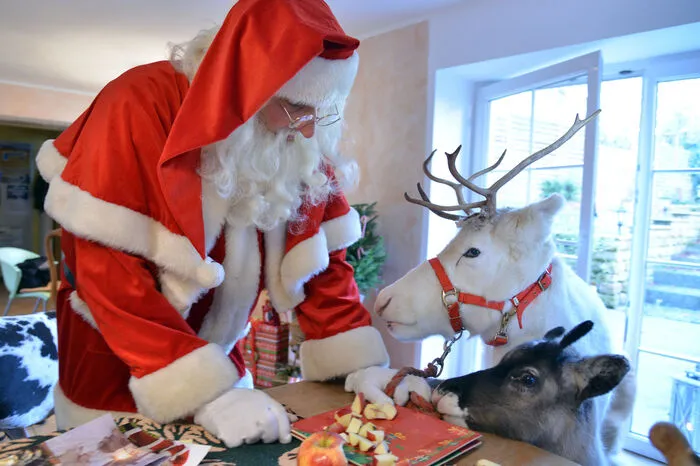 Kramen Sie Erinnerungen an Weihnachten in Ihrer Kindheit hervor und blättern Sie durch alte Fotoalben.