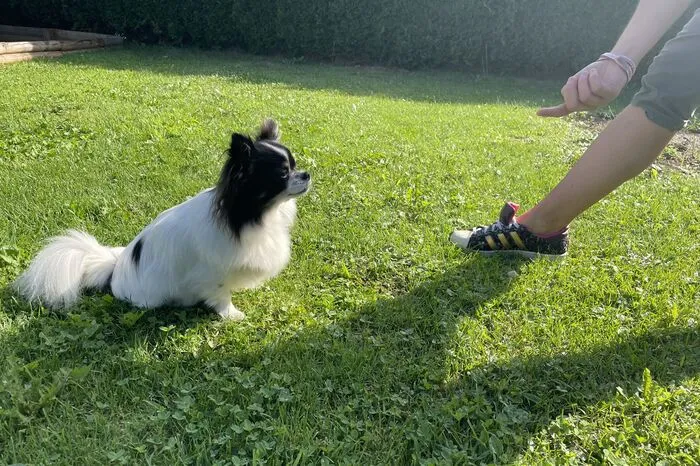 Für jede Übung gibt es eine Belohung.