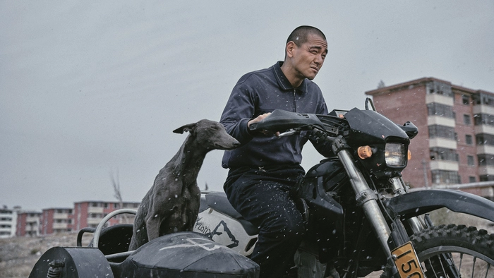 Ein Motorrad, ein Hund, eine Emanzipation: Eddie Peng in „Black Dog“