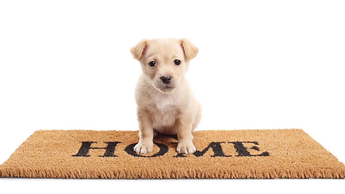 Vorbereiten auf die Zeit, wenn das Frauerl oder das Herrl wieder öfter außer Haus ist