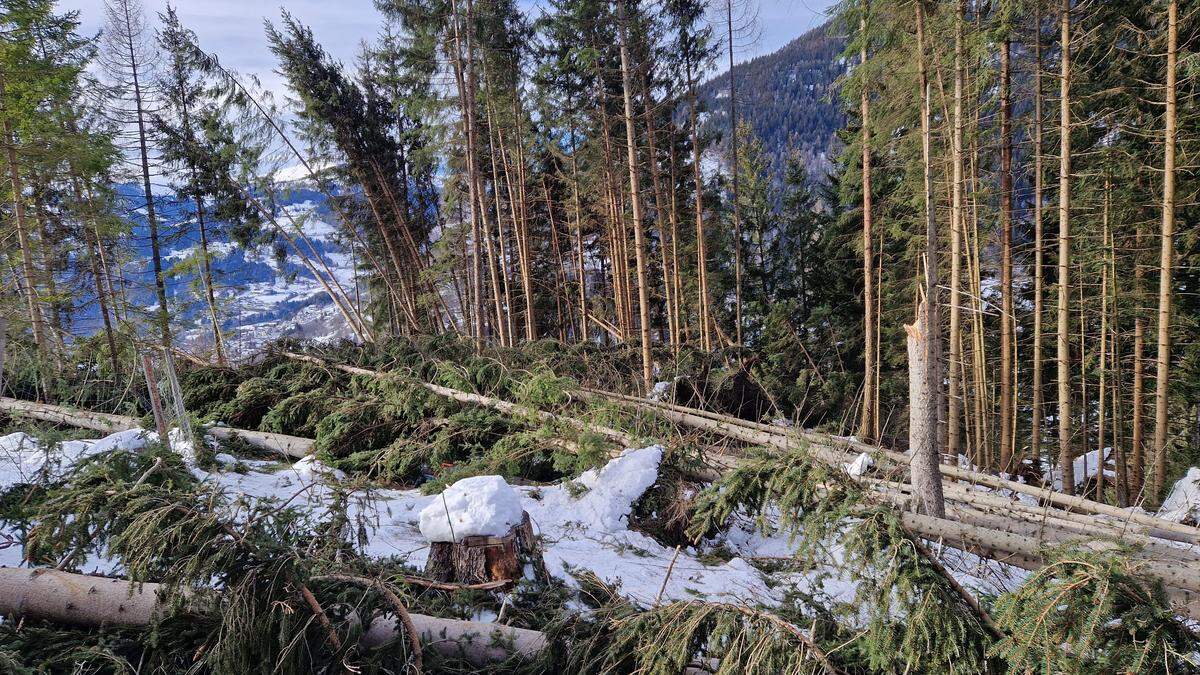 Im Gemeindegebiet von Radenthein richtete der Sturm Anfang Februar erneut Schäden an. Aufgeforstet wird in gleich mehreren Ortsteilen