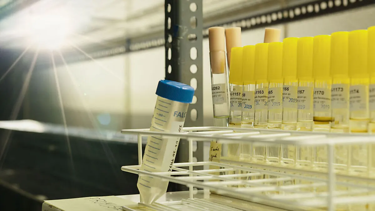 Europäische Datenschutzrichtlinien und das Gentechnikgesetz geben medizinischen Labors strenge Richtlinien vor