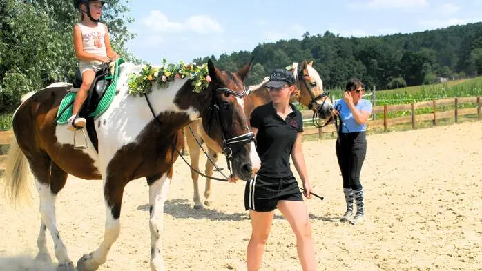 Besser hätte der Start der 18 Mitglieder des Reitclub Sinabelkirchen in der Reitsportszene kaum sein können.