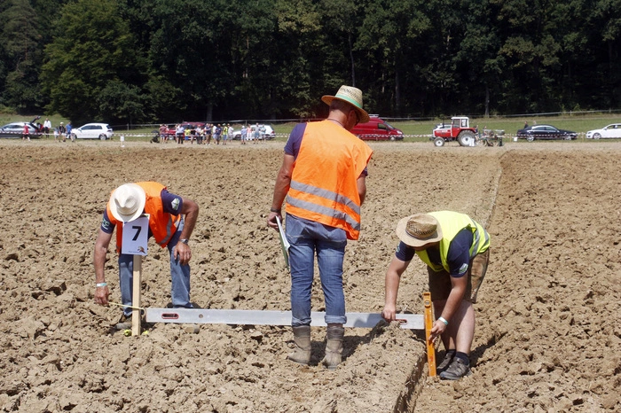 Ein zehnköpfiges Juryteam bewertete die 100 Meter langen Parzellen.