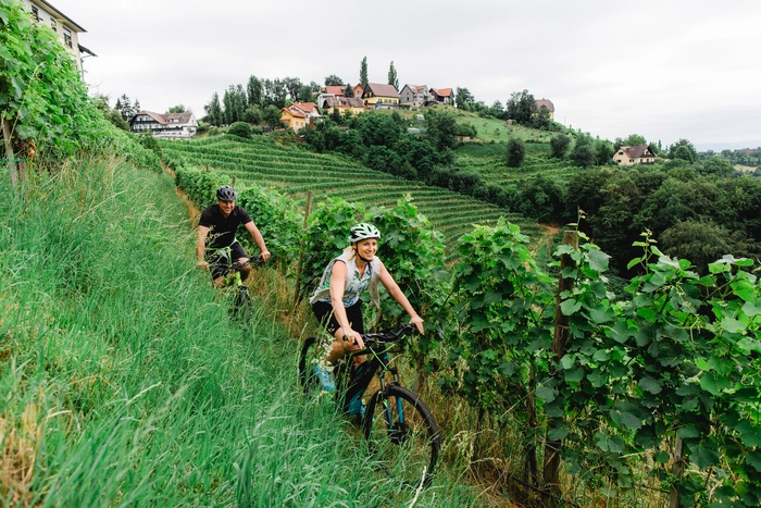 Vom kappel wein.gut.hotel blickt man in die Weinberge und kann sie auch „erfahren“