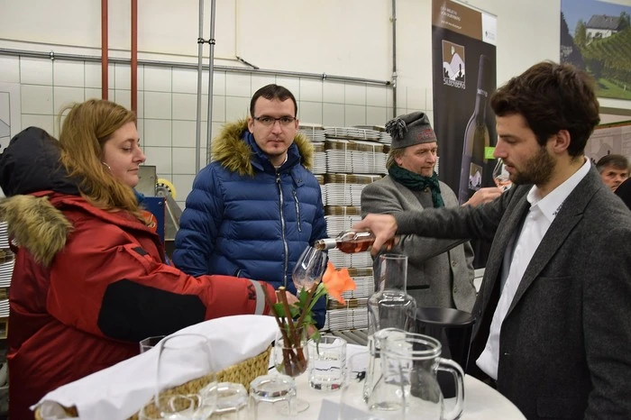"Wir hatten nur 30 Prozent der normalen Weinernte. Trotzdem haben wir keine Trauben zugekauft“, erklärte Anton Gumpl, Direktor der Weinbaufachschule Silberberg.