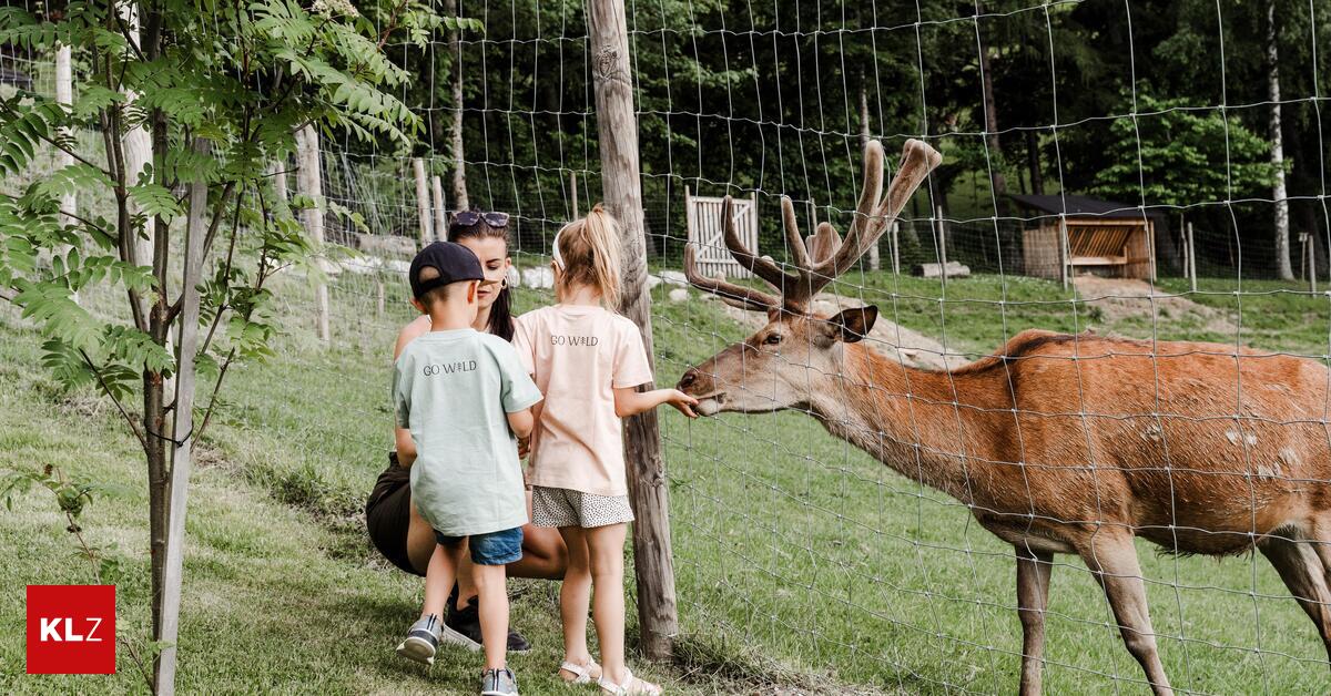 Gro-er-Ausbau-geplant-Waldpark-Hochreiter-wird-zum-Ganzjahresbetrieb