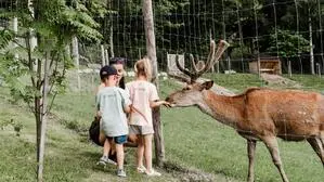 Auch größeren Wildtieren kann man hier ganz nahe kommen