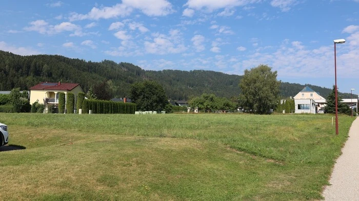 Zu sehen ist eine grüne Wiese