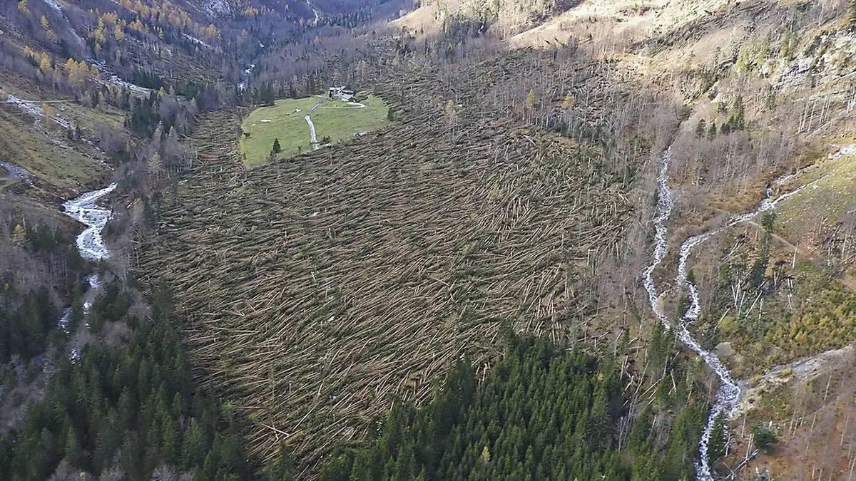 Das Sturmtief Vaia knickte tausende Bäume 