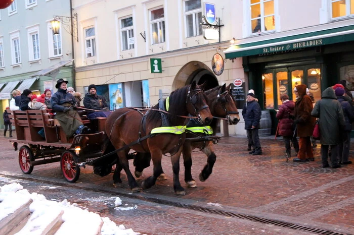 Während die Kleinen die Möglichkeit hatten, mit der Pferdekutsche einige Runden zu drehen, ... 