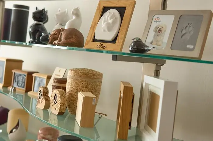 Immer mehr Menschen wollen greifbare Erinnerungen an ihre Haustiere