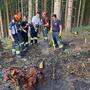 Mehr als 30 Feuerwehrmänner und -frauen waren mit der Brandbekämpfung beschäftigt 