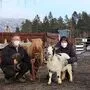Von links: Karin Höfler-Wagner, Gockel Geppetto, Pony Hermann, Ziege Pauli und Tierpflegerin Dani