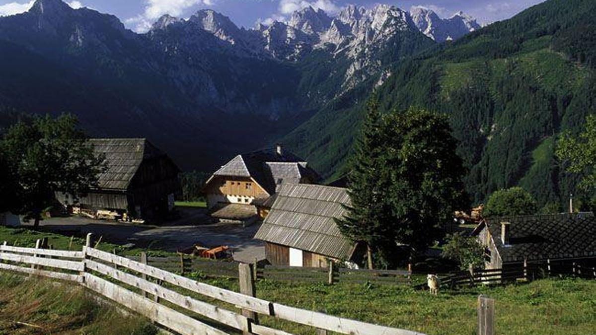 Das Gebiet liegt in der Gemeinde Eisenkappel-Vellach 