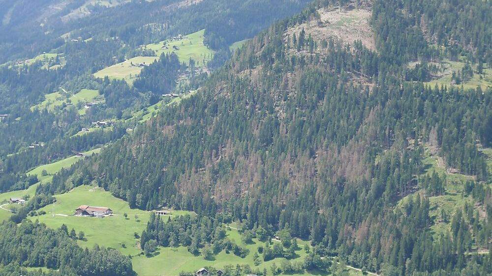 Sturm Vaia, Schneebruch  - und jetzt auch eine Borkenkäferplage - treiben die Entwaldung im Oberen Mölltal voran