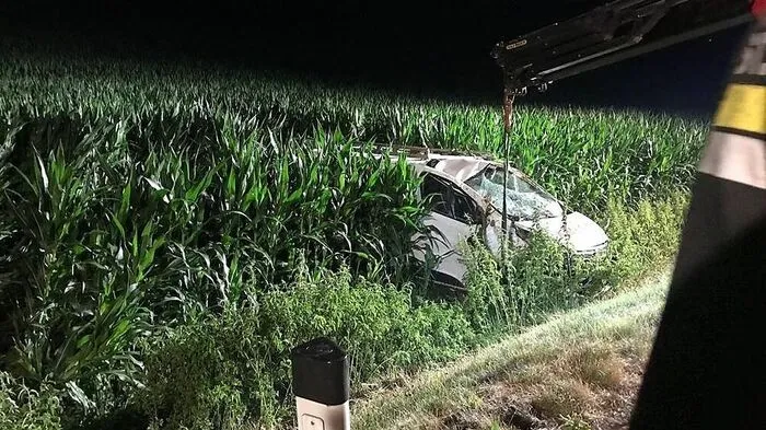 Der Unfalllenker kam von der Straße ab und landete im Maisacker