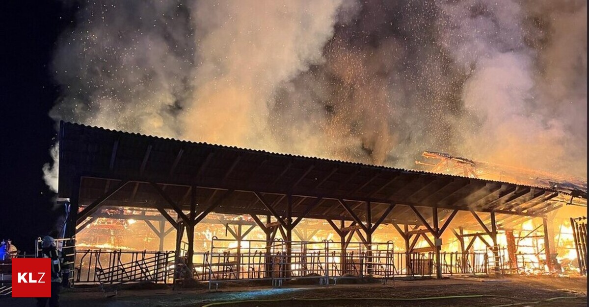 Zwei-Tiere-verenden-Stall-in-Vollbrand-180-Feuerwehrleute-im-Einsatz