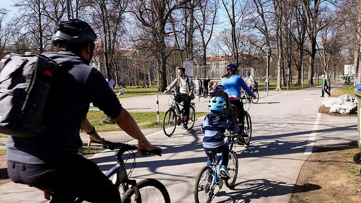 Seit der Augartenbucht führt der Radweg mitten durch den Park