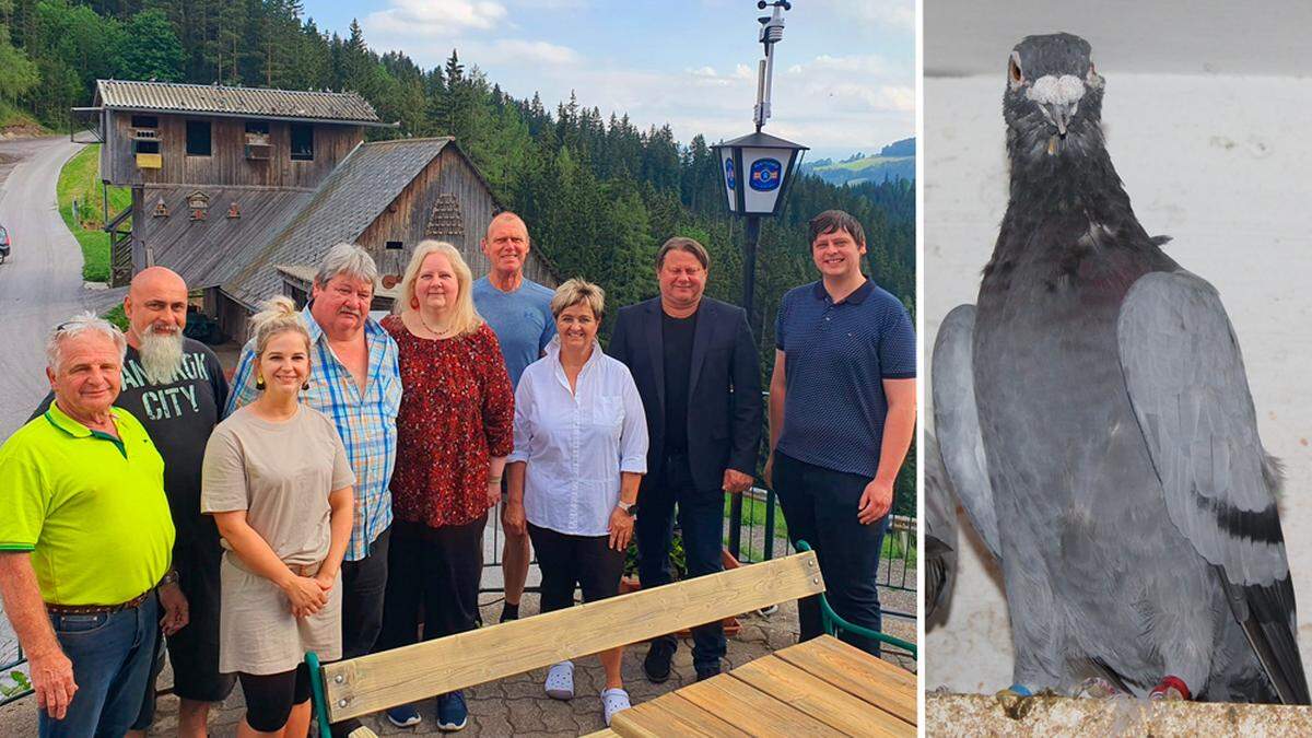 Der Köflacher Brieftaubenverein feiert 50-jähriges Jubiläum