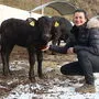 Kalb Lilly lässt sich von Alexandra Zettler gerne streicheln