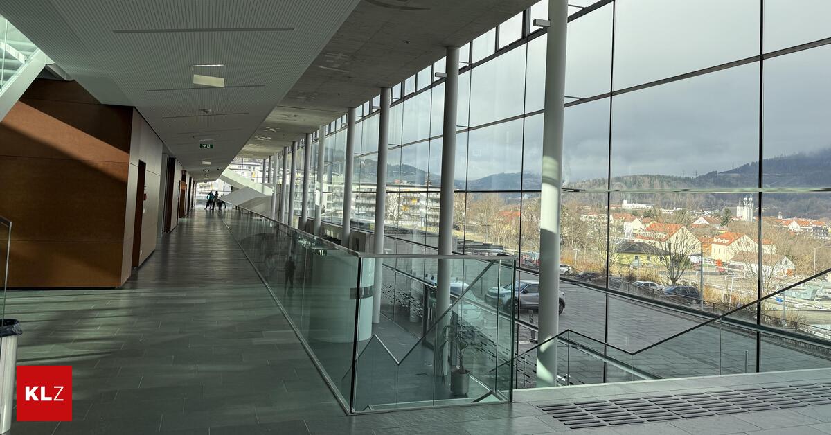 71-000-Euro-Schaden-37-J-hrige-t-uschte-auf-Willhaben-Kaufinteresse-vor-um-Schmuck-zu-stehlen