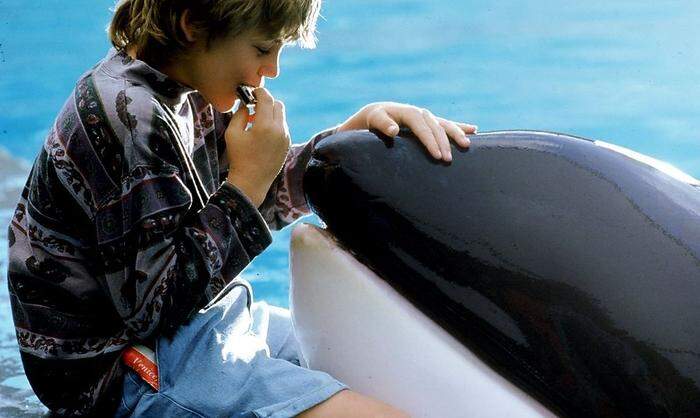 Free Willy mit Orca Keiki