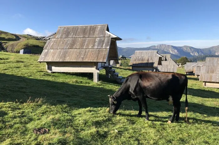 Die Hütten haben mit Komfort nichts am Hut. Nette Holzverschläge, die kaum Kälte abhalten, kein Strom, kein Licht: Hier ist „slow down“ Programm.