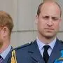 (FILES) In this file photo taken on July 10, 2018 Britain's Prince Harry, Duke of Sussex, (L) and Britain's Prince William, Duke of Cambridge (R) stand on the balcony of Buckingham Palace on July 10, 2018 to watch a military fly-past to mark the centenary of the Royal Air Force (RAF). - Princes William and Harry on January 13, 2020 put on a rare joint front to dismiss a "false story" speculating about their relationship, as senior royals met for talks about the younger brother's future. "For brothers who care so deeply about the issues surrounding mental health, the use of inflammatory language in this way is offensive and potentially harmful," they said. (Photo by Tolga AKMEN / AFP)