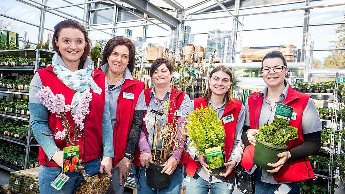 Das neue Verkaufsteam des Gartencenters