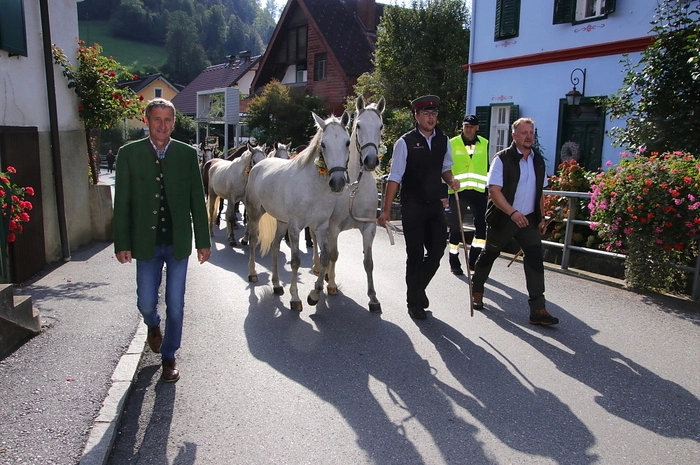 "Es waren heuer auch einige ältere Damen dabei, welche die jungen Tiere auf die Verhältnisse auf der Alm einführen konnten", erzählt Gestütsleiter Erwin Movia (rechts).