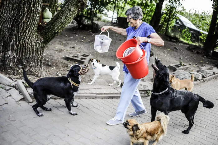 Heidi Lepuschitz (78) leitet das Tierheim und ist unermüdlich im Einsatz für die Tiere. Für die Aufrechterhaltung des Betriebes ist die Einrichtung auf private Spenden angewiesen.
