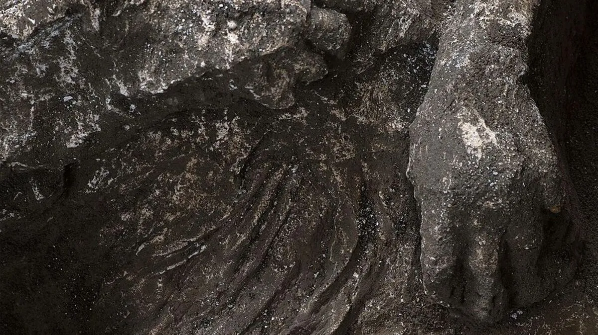 Die Funde sind gut erhalten