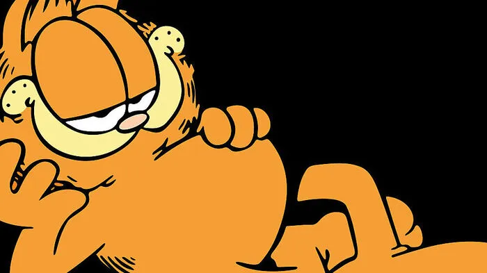 Der pummelige Kater wird nun zum Politikum in den USA