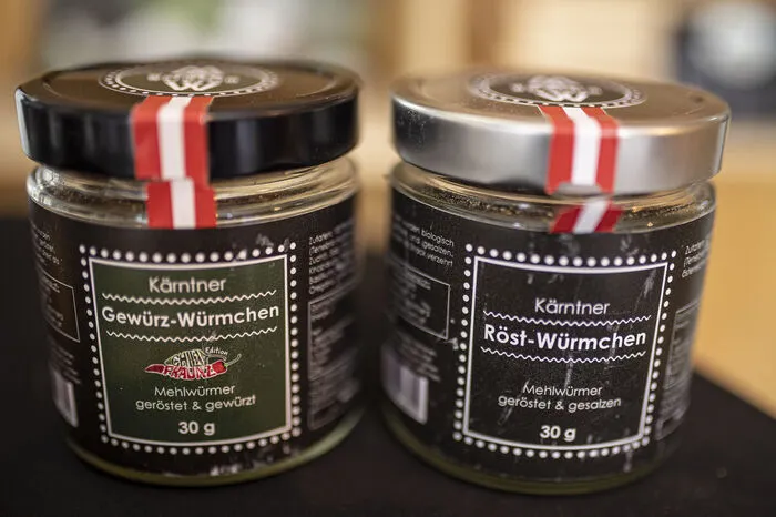 Bis zu 500 Kilogramm essbare Mehlwürmer werden dort im Monat produziert.