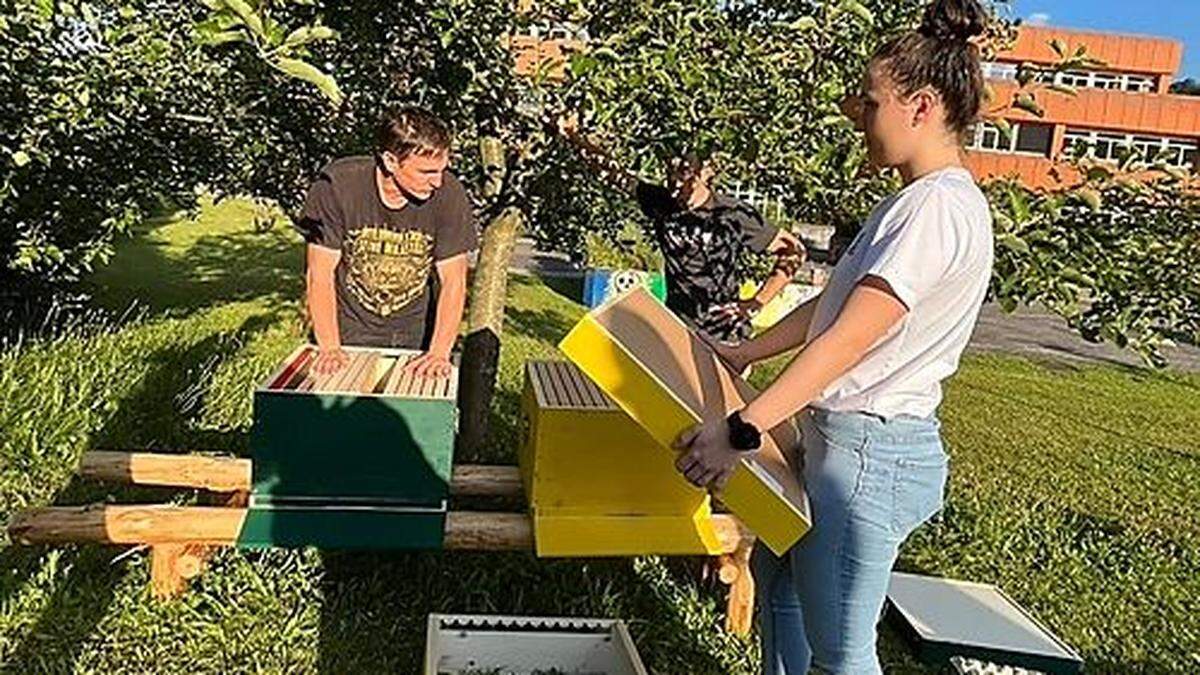 Bernhard Maurer und Eva Leichtfried halfen den Bienen beim Einzug