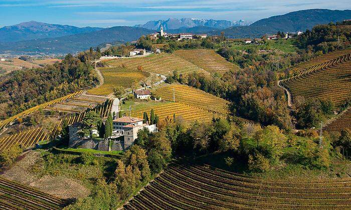 Bei Cividale wandern wir durch malerische Weinberge.