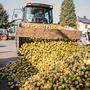 Landwirt Johann Griengl aus Forst bringt 700 Kilogramm Birnen  