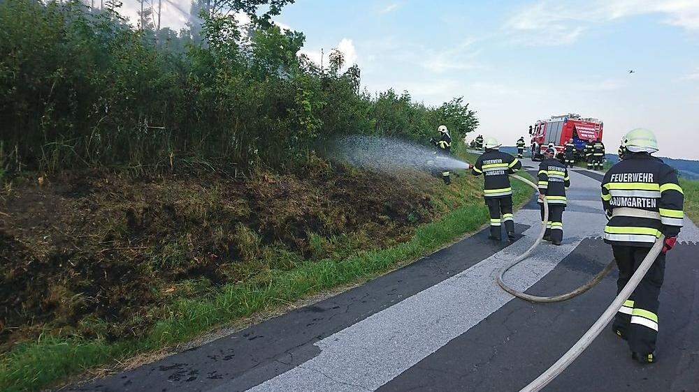 Vier Feuerwehren verhinderten die Ausbreitung des Böschungsbrandes