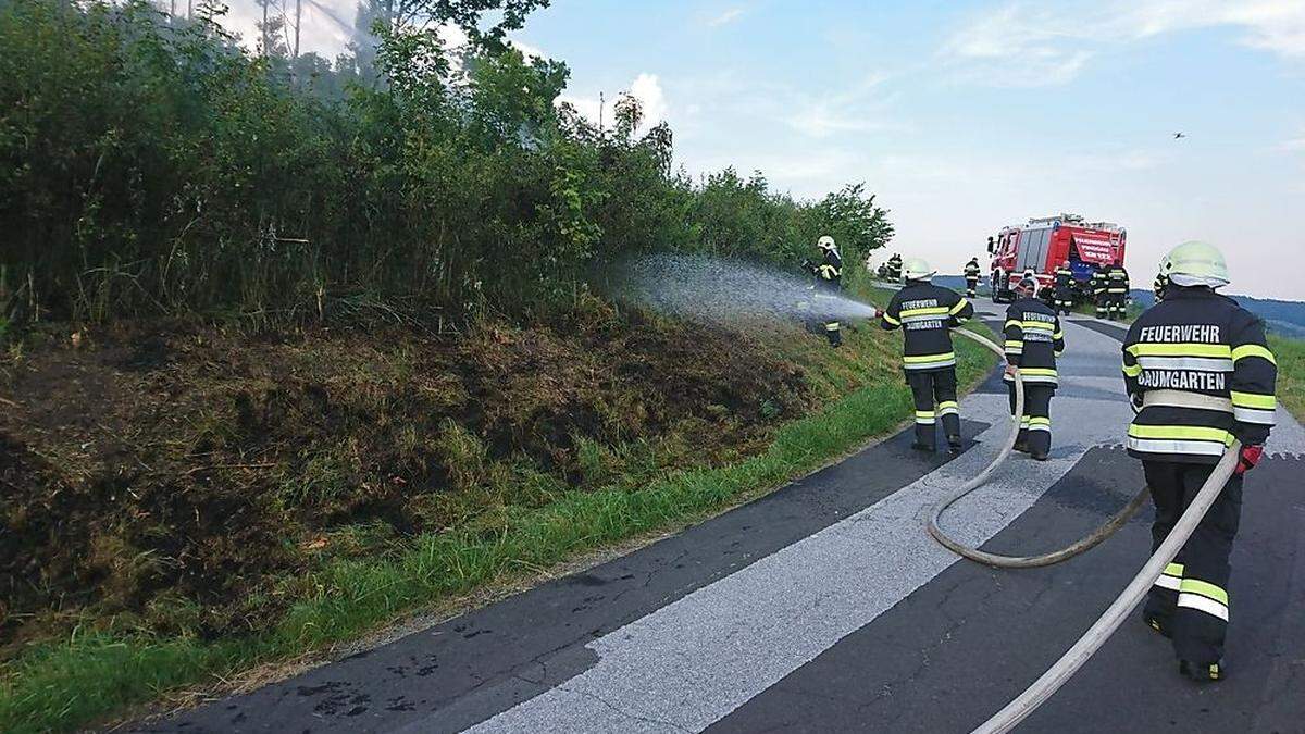 Vier Feuerwehren verhinderten die Ausbreitung des Böschungsbrandes