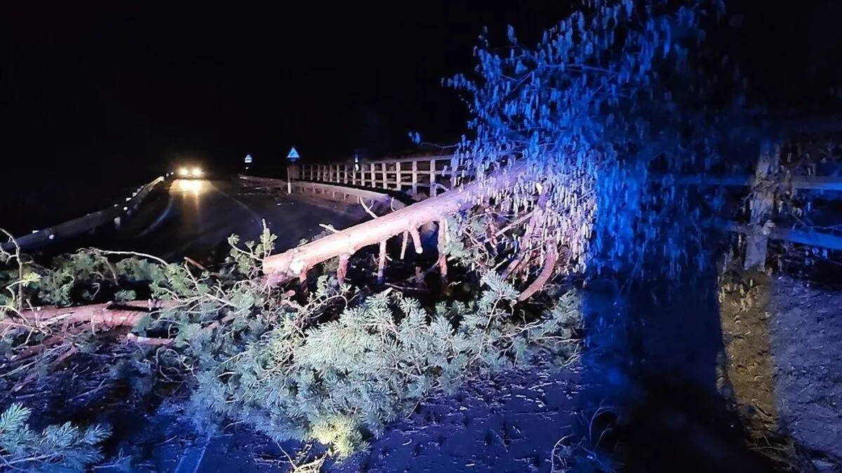 Die FF Kapfenberg-Stadt rückte auf die B 20 aus